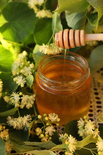 jar of linden honey with linden blossom