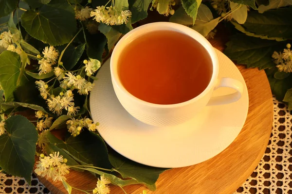 Чашка Травяного Чая Липовым Цветком — стоковое фото