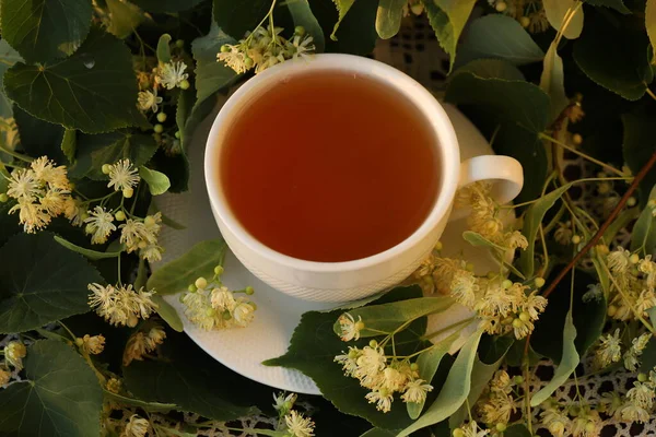 Tazza Tisana Con Fiore Tiglio — Foto Stock