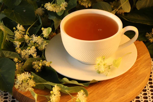 Чашка Трав Яного Чаю Цвітінням Липи — стокове фото