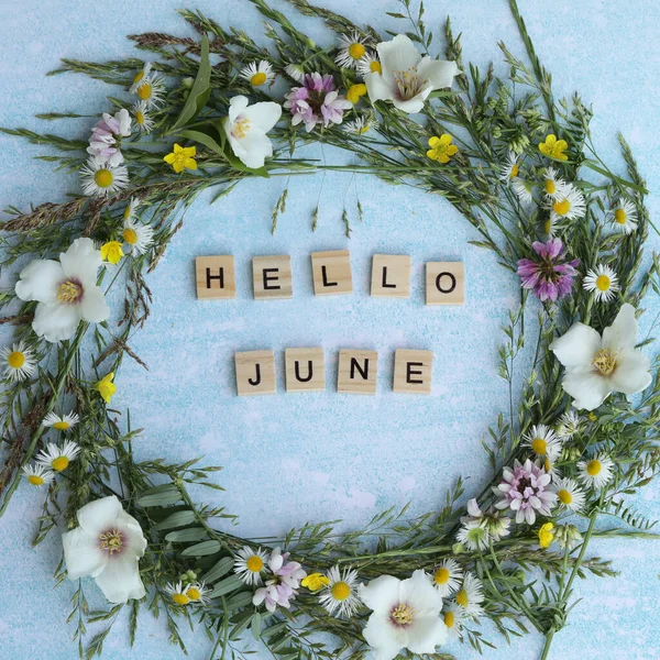 Çiçek çerçeveli ve yazılı mavi arkaplan. Merhaba Haziran.