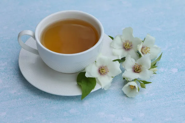 Cup Herbal Tea Jasmine Flowers Blue Background — Stock Photo, Image