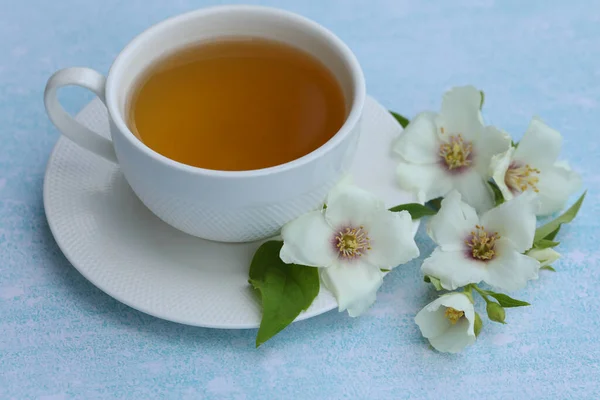 Cup Herbal Tea Jasmine Flowers Blue Background — Stock Photo, Image