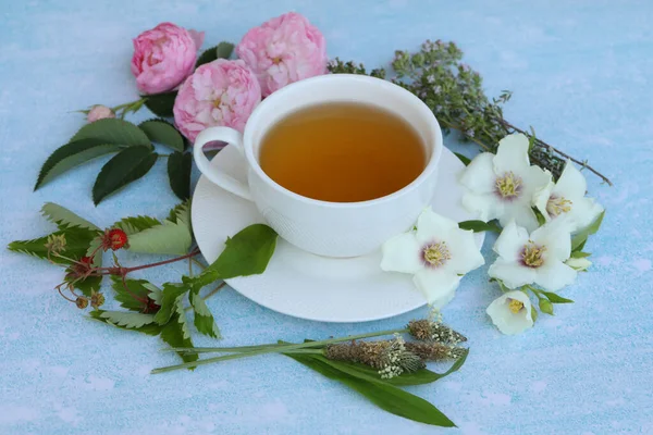 Cup Herbal Tea Summer Flowers Blue Background — Stockfoto