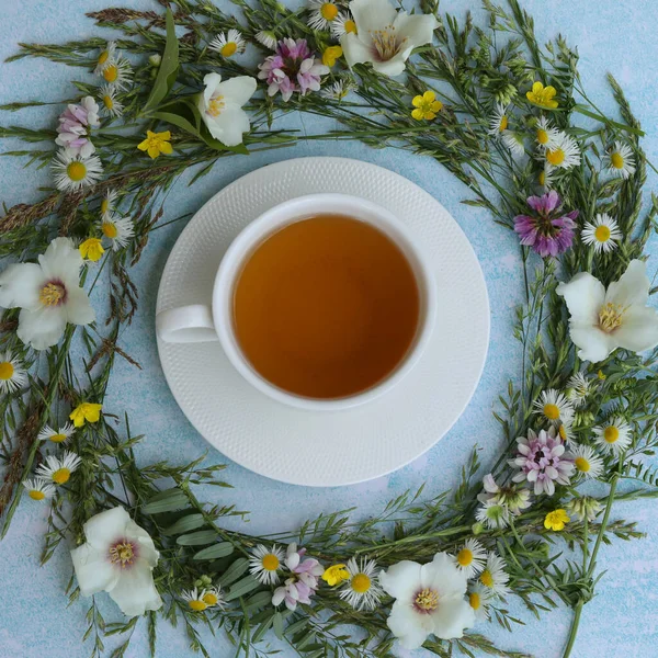 Cup Herbal Tea Summer Flowers Blue Background — Stock Photo, Image