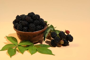 Pembe arkaplanda fotokopi alanı olan taze böğürtlen