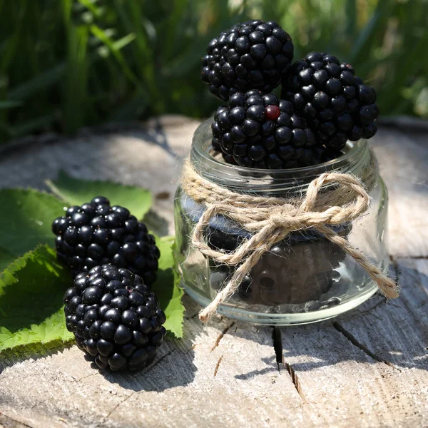 Fresh Blackberries Summer Wild Forest — Foto de Stock