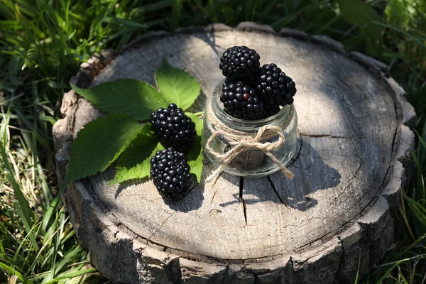 Fresh Blackberries Summer Wild Forest — Foto de Stock