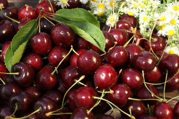 Pattern Background Fresh Summer Sweet Cherries — стоковое фото