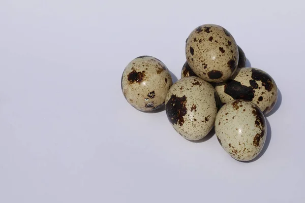 Quail Eggs White Background Copy Space — стоковое фото