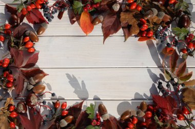 Sonbahar yapraklı beyaz ahşap arkaplan çerçeve ve boşluk kopyala