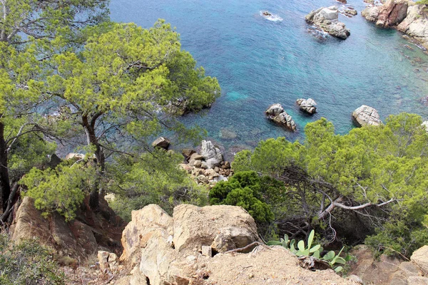 Línea costera de Lloret De Mar — Foto de Stock