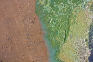 kıyı şeridi, kirli su