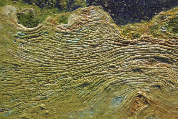 Aguas contaminadas en la costa — Foto de Stock