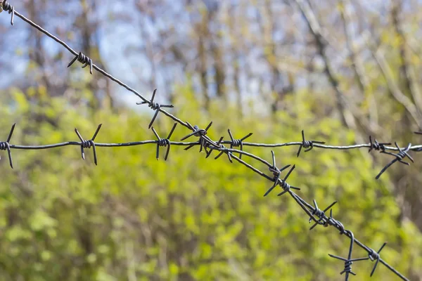 Barbed wire fence in industrial zone — Stock Photo, Image