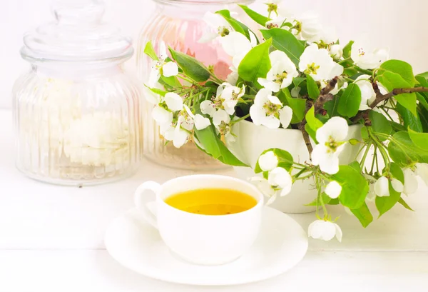 Cup of tea and apple flowers — Stock Photo, Image