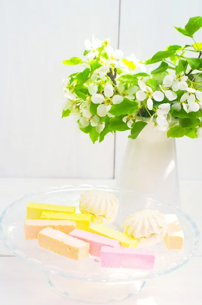 Apple flowers and zephyr — Stock Photo, Image