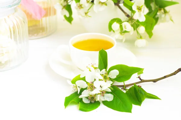 Tasse de thé et de fleurs de pomme — Photo