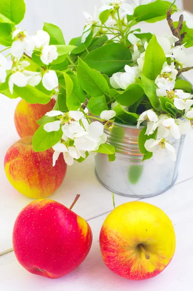 Manzana — Foto de Stock