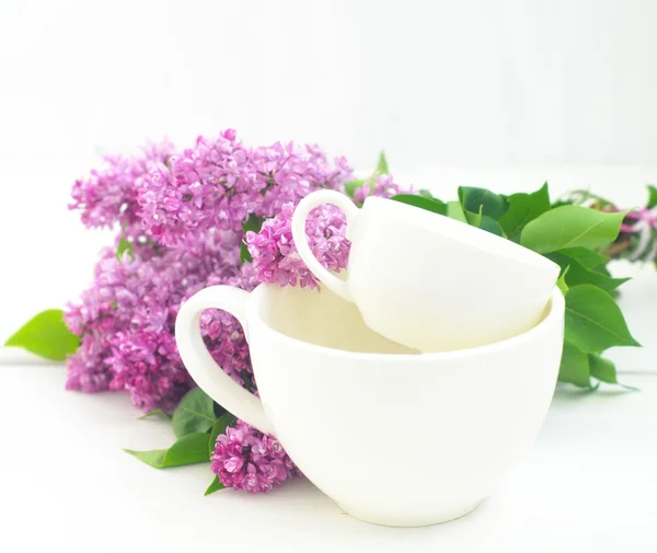 Bunch of lilac — Stock Photo, Image