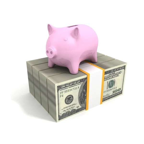 Piggy  bank at dollar  packs — Stock Photo, Image