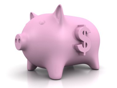 pembe bir domuzcuk para banka