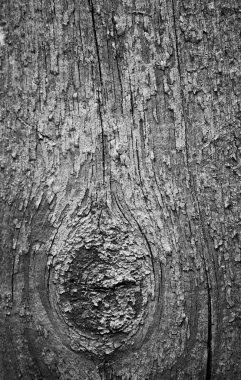 Doğal koyu ahşap doku arkaplanı