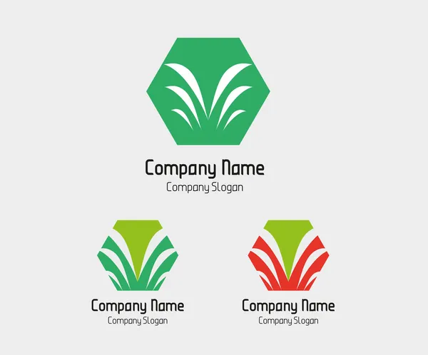 Logo palmier avec symbole hexagonal — Image vectorielle