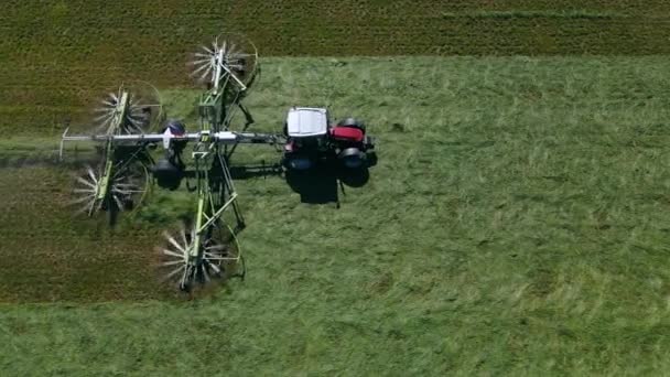 Ilmakuva traktorista, joka leikkaa vihreää ruohoa — kuvapankkivideo