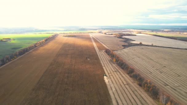 Vista superior de un enorme campo de soja y cosechadoras — Vídeo de stock