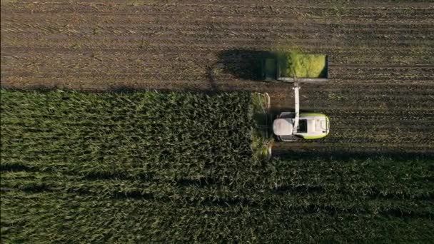 Tiro aéreo de colheitadeira moderna carregando fora do milho — Vídeo de Stock