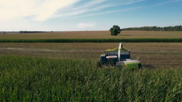 Semi caminhão e máquinas agrícolas colheita de milho — Vídeo de Stock