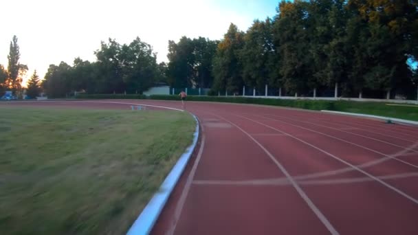 Männersportler joggen, Stadiontraining — Stockvideo