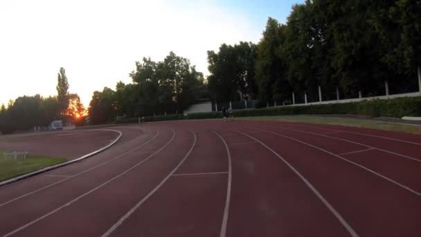 Idrettsutøvere som jogger og trener på stadion – stockvideo