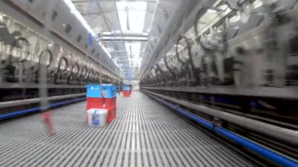 Automated milking line for cows on modern dairy — Stock Video