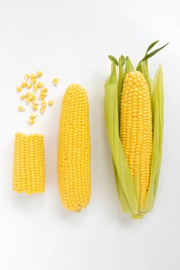 Yeşil yapraklı mısır kulağı, soyulmuş koçan ve tohum beyaz arka planda izole, taze mısır, üst görünüm