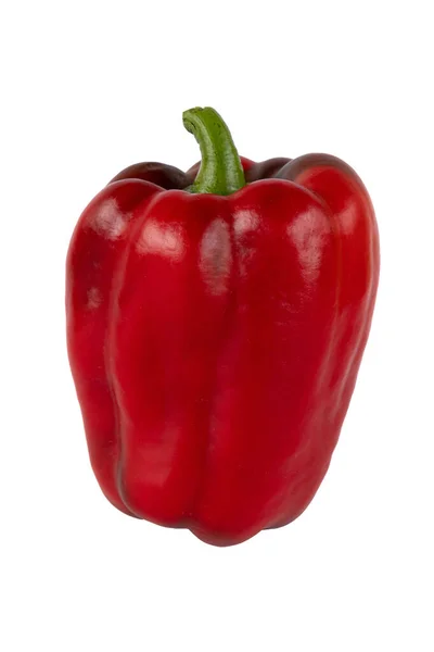 Rode Paprika Geïsoleerd Witte Achtergrond Hele Paprika Close Verse Groenten — Stockfoto