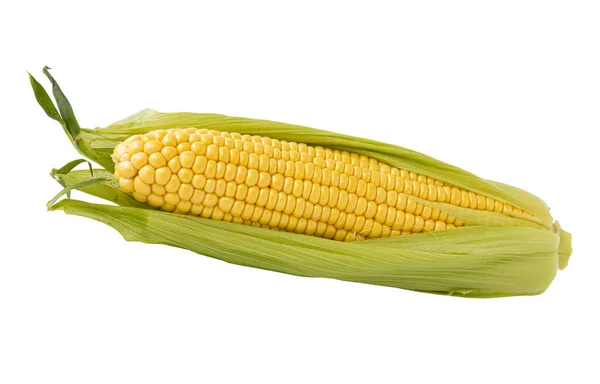 Single Ear Corn Green Leaves Whole Fresh Maize Isolated White — Stock Photo, Image