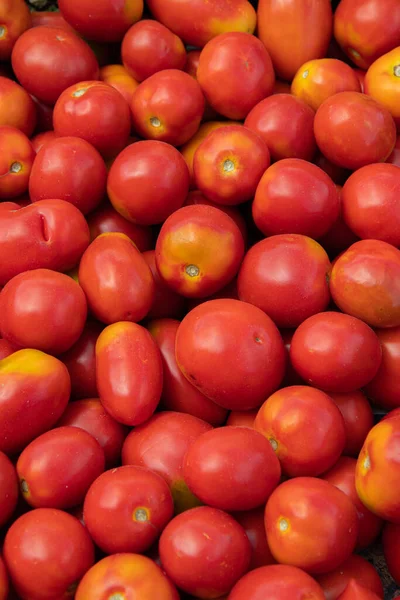 Background Red Whole Tomatoes Useful Fresh Vegetables Homemade Harvest — Stock Photo, Image