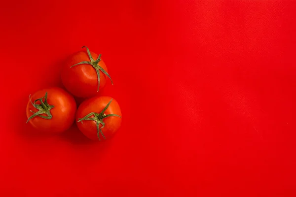 Red Tomato Green Stalk Three Fresh Tomatoes Red Background — Stock Photo, Image
