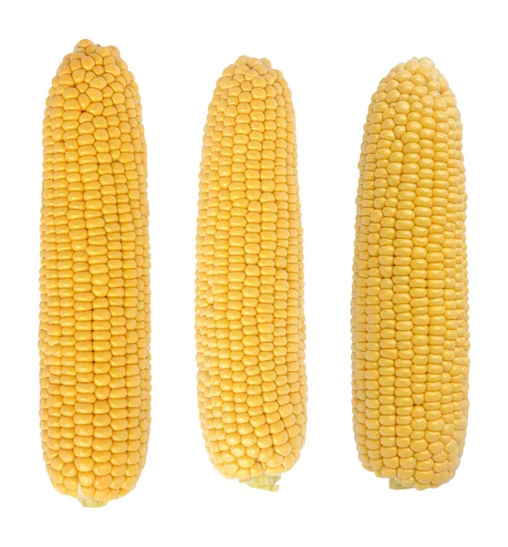 Peeled Yellow Raw Three Corn Cobs Isolated White Top View — Stock Fotó