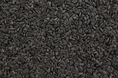 Siyah ayçiçeği tohumlarının arka planı, pek çok soyulmamış tohum, yakın plan, üst görünüm
