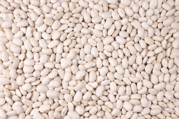 Background Many Grains Dried Beans Top View White Beans Texture — Foto Stock
