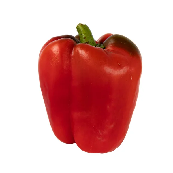 Rode Paprika Geïsoleerd Witte Achtergrond Hele Paprika Close Verse Groenten — Stockfoto
