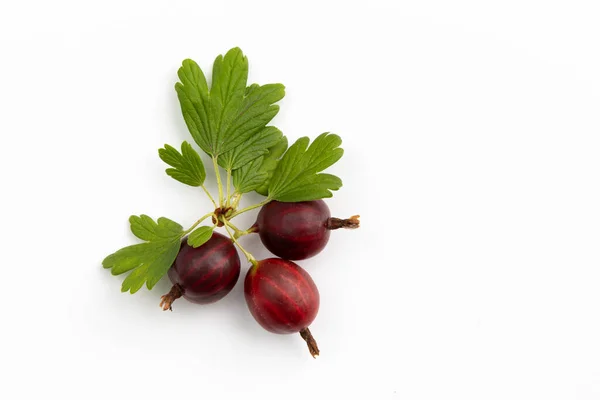 Fresh Red Gooseberry Leaves Isolated White Background Top View — Stock Photo, Image
