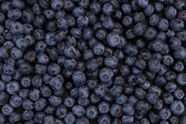 Taze yaban mersinli arka plan yakın plan, üst manzara, vegan yiyecekler, sağlıklı malzemeli böğürtlenler ve vitaminler.