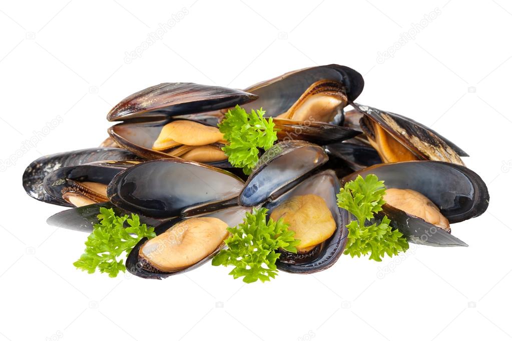 Mussels isolated
