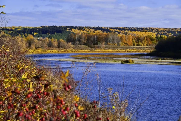 Crimson and gold-clad forests on the banks and in the valley of the pure Ural river Sylva (Kishert district, Perm region)