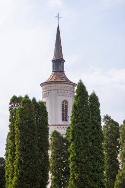 Parkta beyaz uzun kule