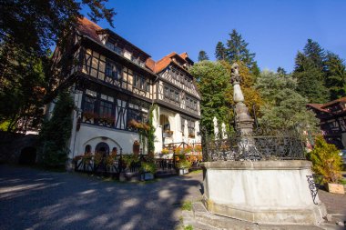 Ormandaki eski güzel saray binası.